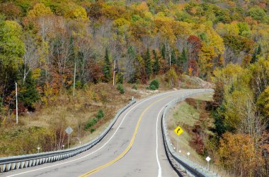 Algonquin Park Road
