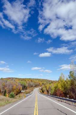 Algonquin Park Road