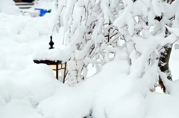 겨울 마에 — 스톡 사진