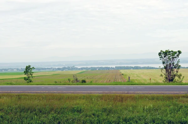 Campo de explotación — Foto de Stock