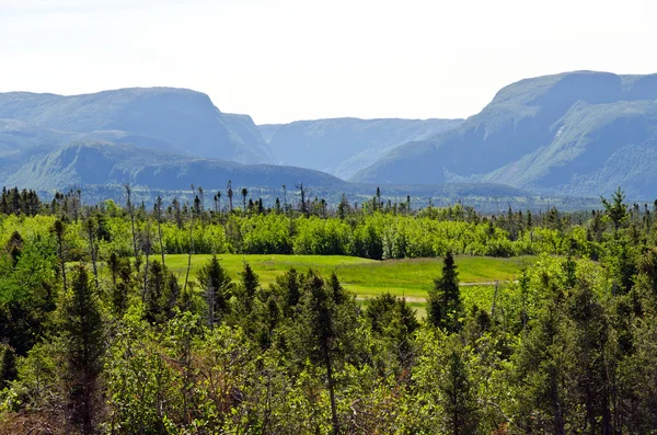 Parque Nacional Gros Morne —  Fotos de Stock