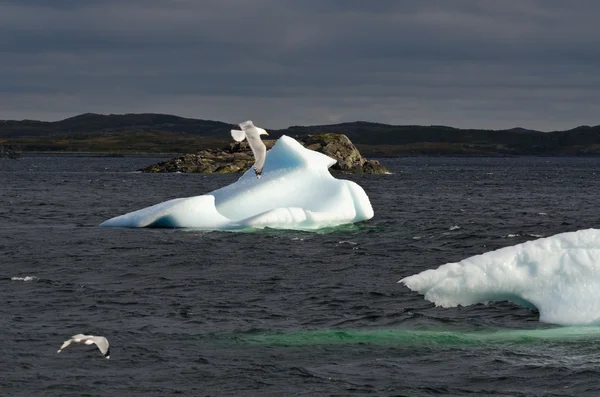 Iceberg branco brilhante — Fotografia de Stock