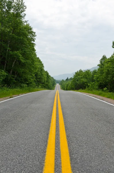 Road in Cape of Breton Highlands national park — Stock Photo, Image