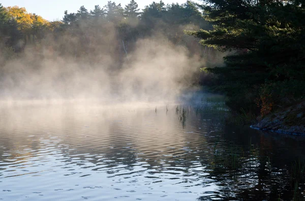 Lever de soleil au-dessus du lac forestier — Photo