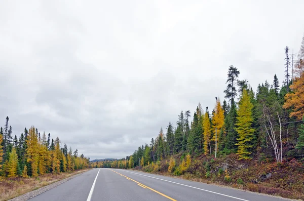 Trans Canada highway — Stockfoto