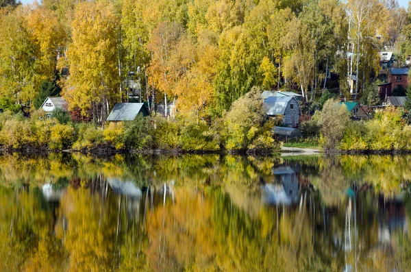 Lago forestale — Foto Stock