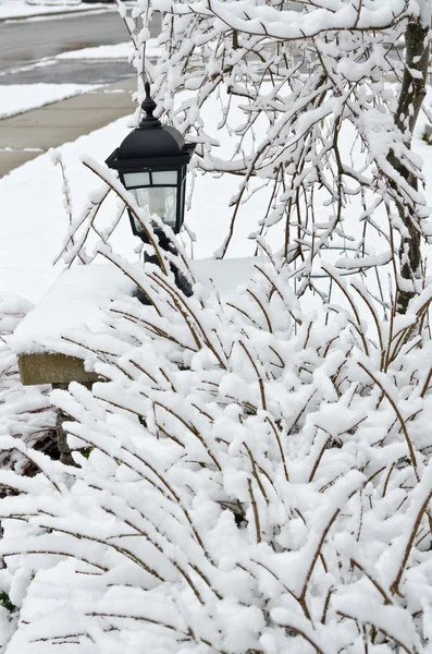 Día de invierno —  Fotos de Stock