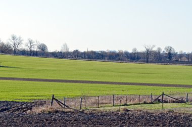 çiftçilerin ekili alan