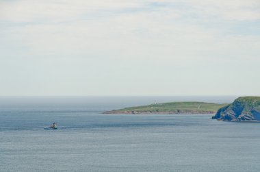 Newfoundland kıyıları