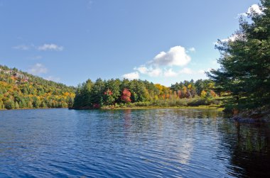 Orman göl üzerindeki gündoğumu