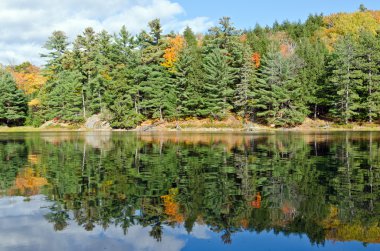 Orman göl üzerindeki gündoğumu
