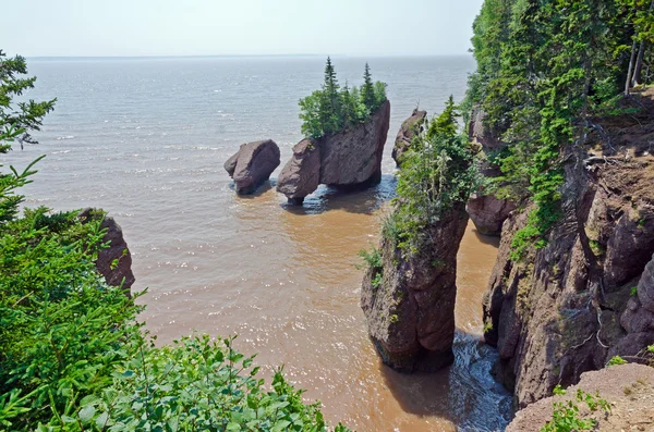 Hopewell Rocks — Stock Photo, Image