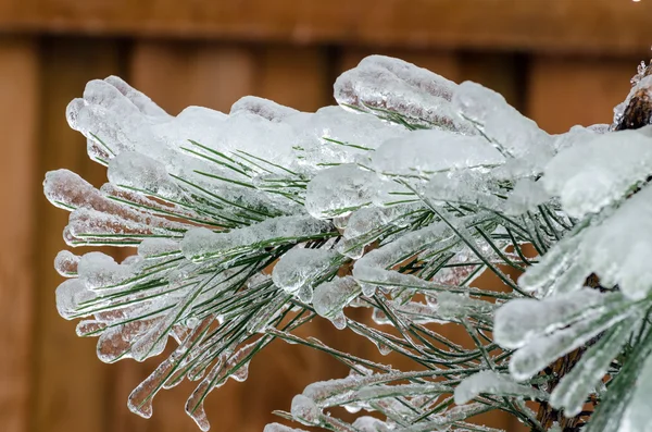 Freezing rain — Stock Photo, Image