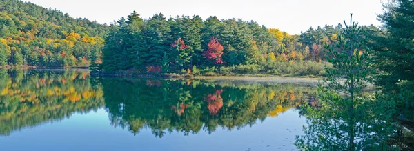 Lever de soleil au-dessus du lac forestier — Photo