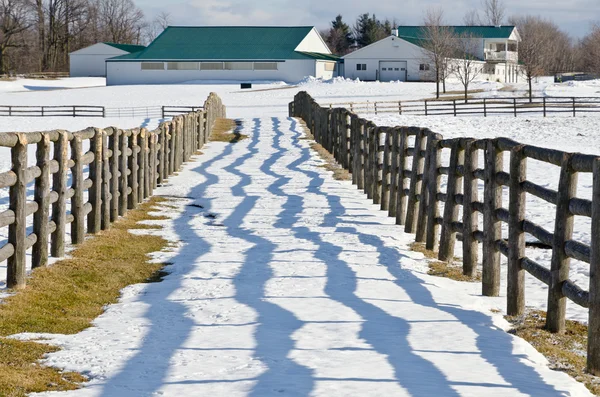 Farma v zimě — Stock fotografie