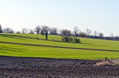 çiftçilerin ekili alan