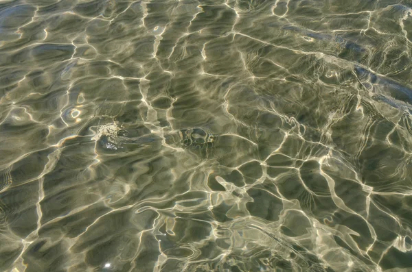 澄んだ水 — ストック写真