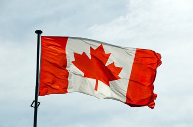 Kanada Bayrağı