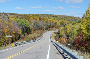 Algonquin Park Road