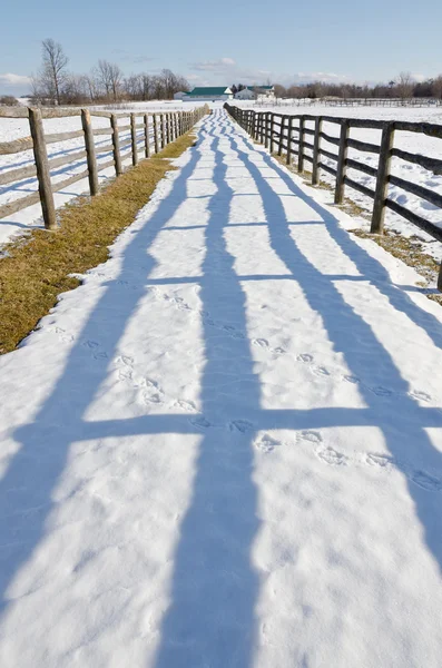 Boerderij in de winter — Stockfoto