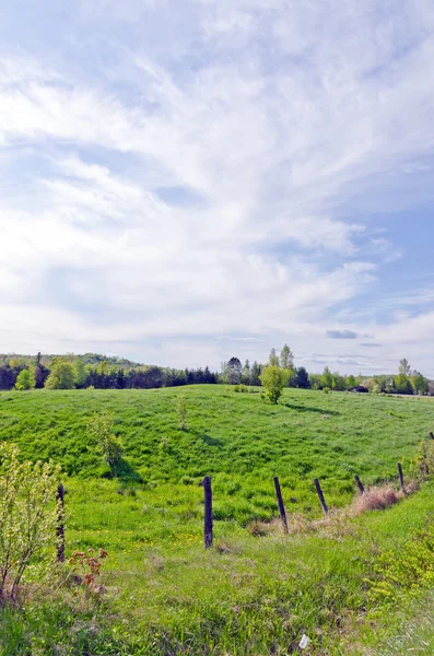 Snelweg — Stockfoto