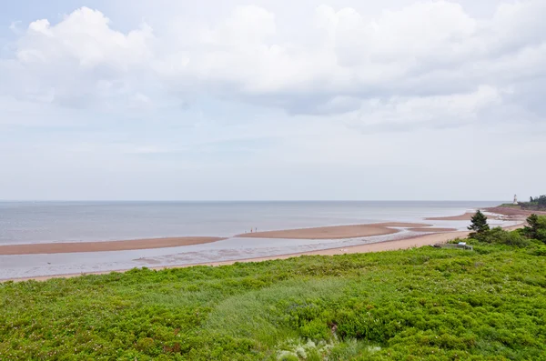 Red sand beach — Stock Photo, Image