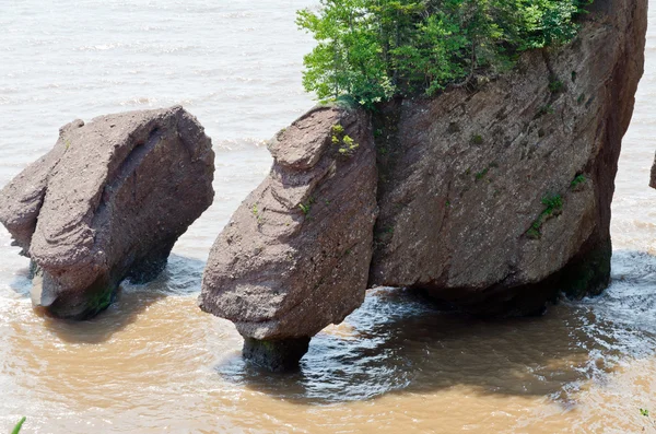 Hopewell Rocks — Stock Photo, Image