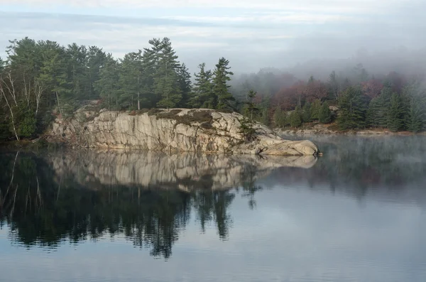 Forest lake — Stock Photo, Image