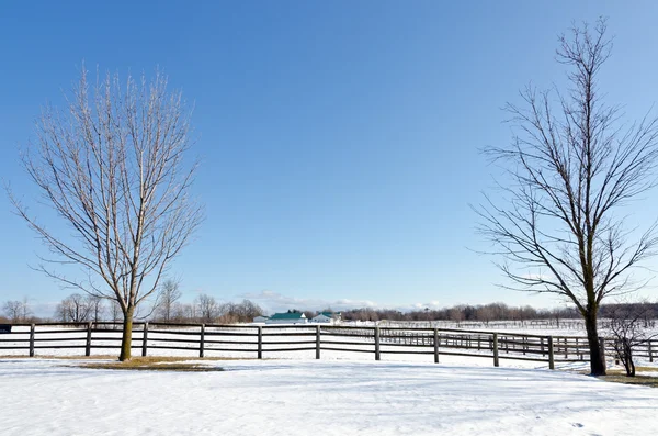 Fazenda no inverno — Fotografia de Stock