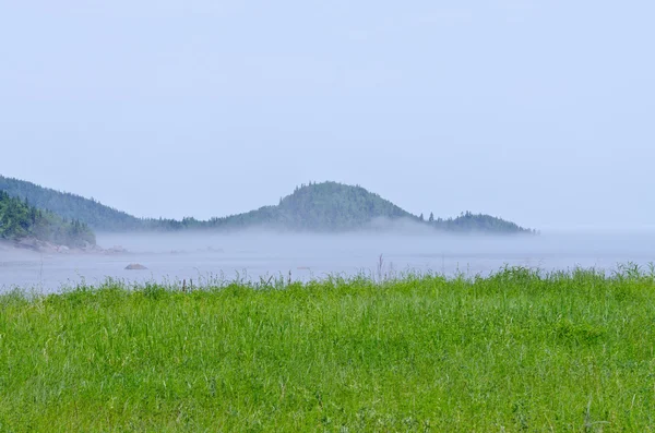 Zonnige dag — Stockfoto