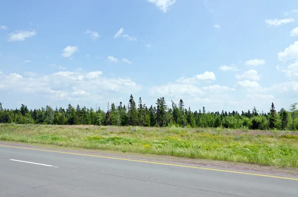 Autopista — Foto de Stock