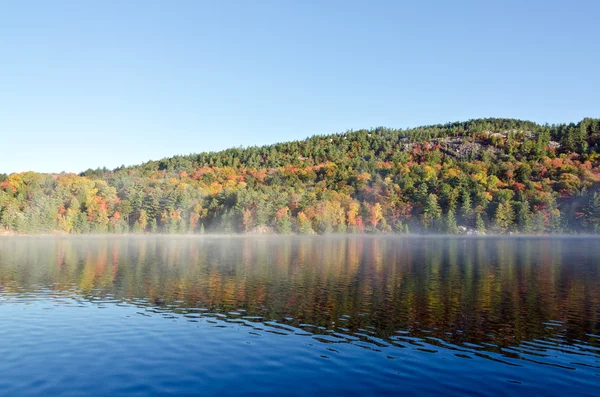 Salida del sol sobre el lago del bosque — Foto de Stock