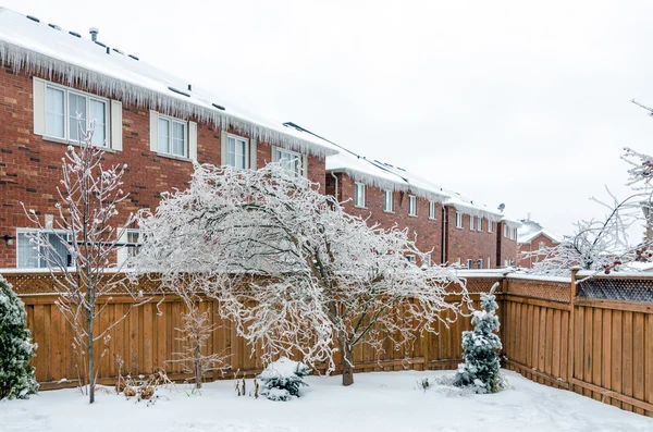 Freezing rain — Stock Photo, Image