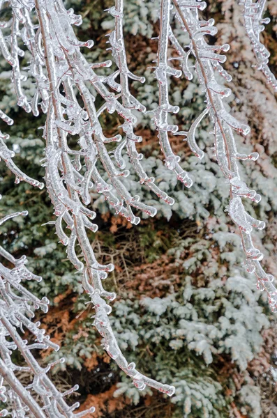 Freezing rain — Stock Photo, Image