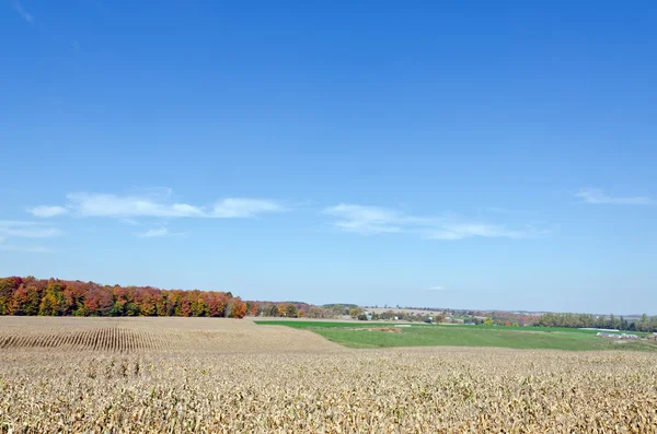 Herfstdag — Stockfoto