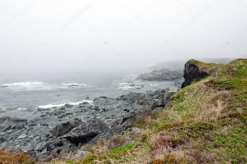 Newfoundland coast