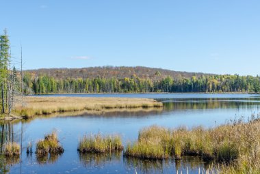 Algonquin Park Lake