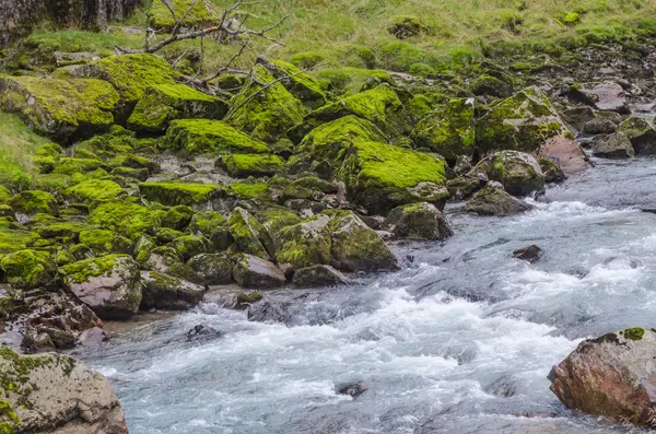 Fiume di montagna — Foto Stock