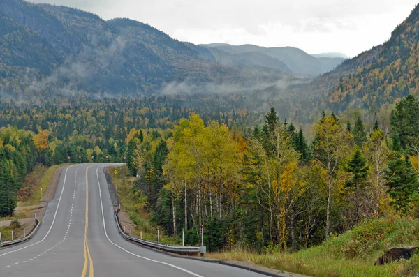 Camino de otoño — Foto de Stock