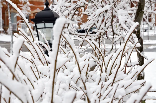 Dia de inverno — Fotografia de Stock