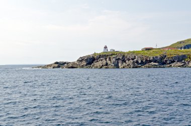 Newfoundland kıyılarında