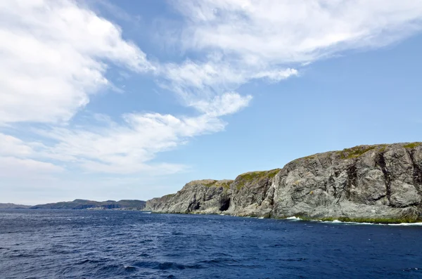 Newfoundland kıyılarında — Stok fotoğraf