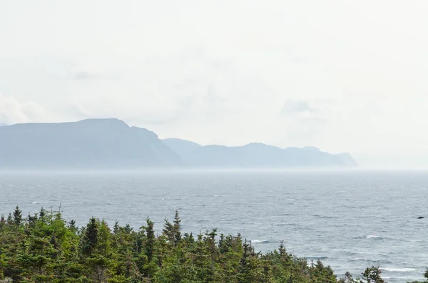 ニューファンドランドの海岸線 — ストック写真