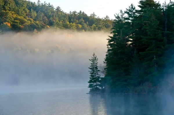 Sunrise above forest lake — Stock Photo, Image