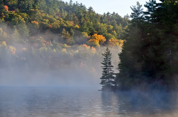 Sunrise above forest lake — Stock Photo, Image