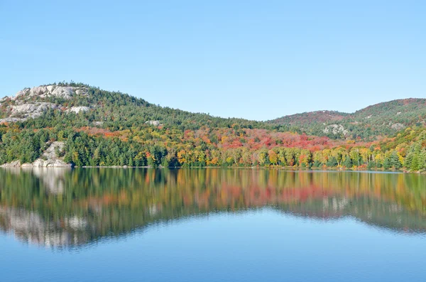 Sunrise above forest lake — Stock Photo, Image