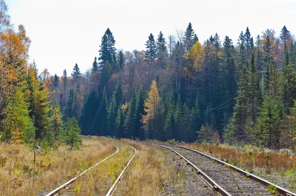 Railway tracks — Stock Photo, Image