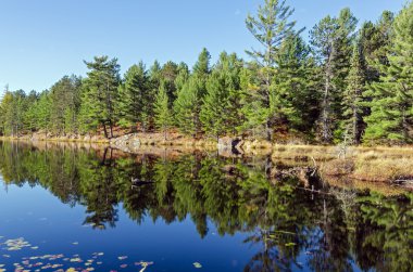 Algonquin Park Lake