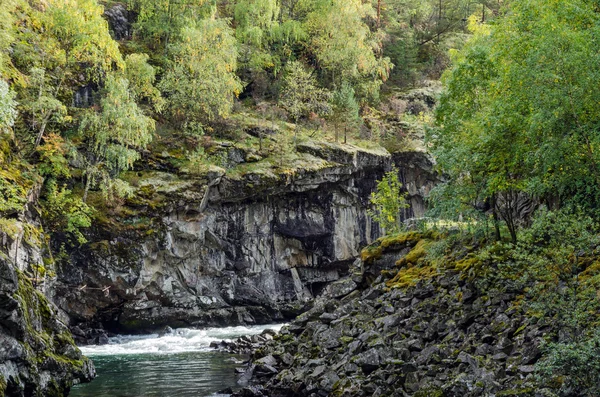 Mountain river — Stock Photo, Image