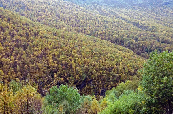 Норвежское нагорье — стоковое фото